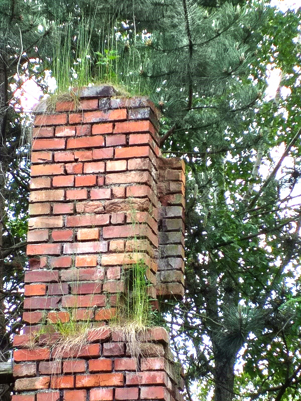 Pierwotnie pragnienie Istnienia… 